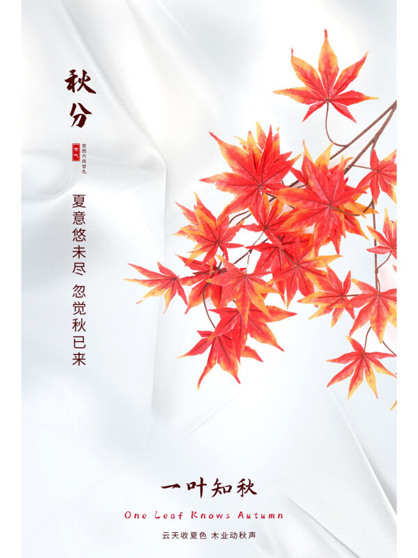 白色简约枫叶创意秋分传统海报