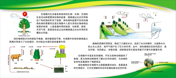 森林的作用图片