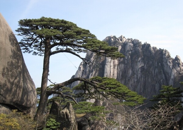 黄山风景图片