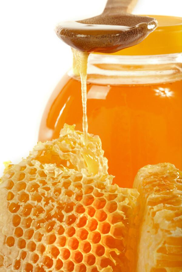 蜂巢与蜂蜜
