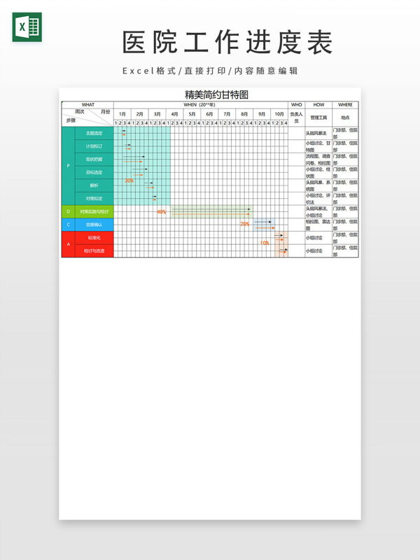 精美简约10个月医院甘特图