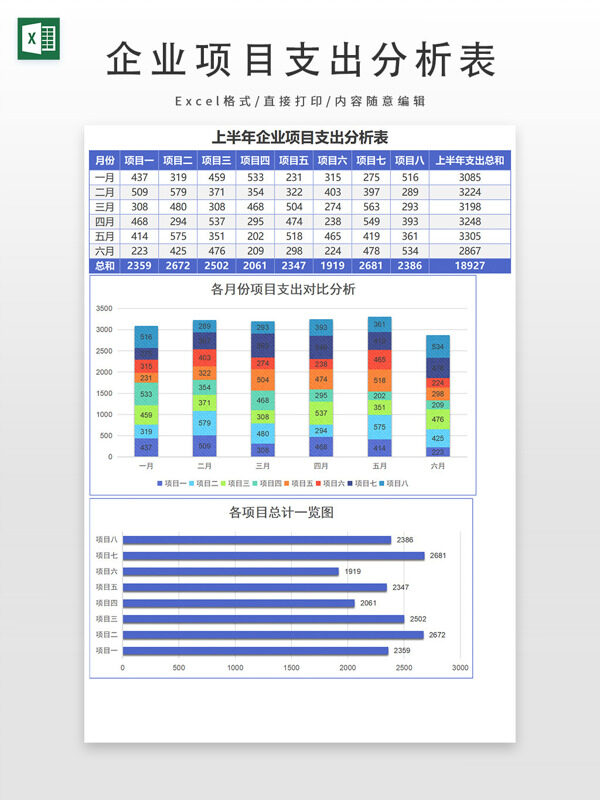 企业项目支出分析表