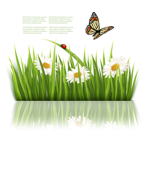 美丽的蝴蝶和绿草背景矢量04