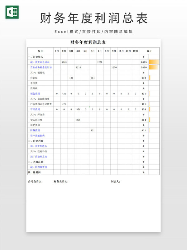 财务年度利润总表
